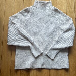 Express Mockneck Sweater